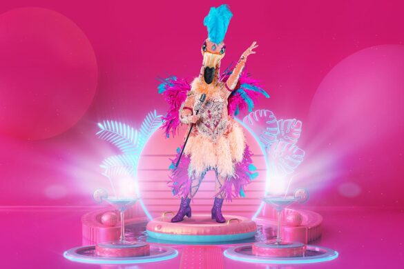 The Masked Singer - Der Flamingo