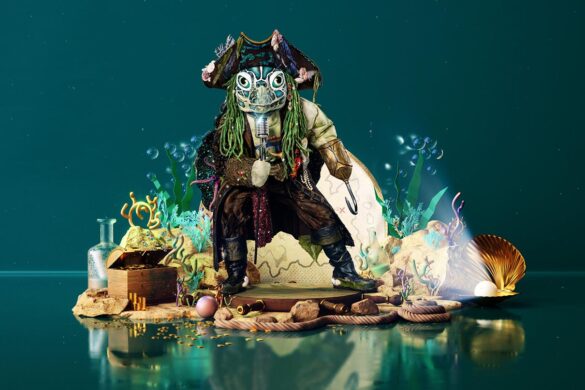 The Masked Singer - Die Schildkröte